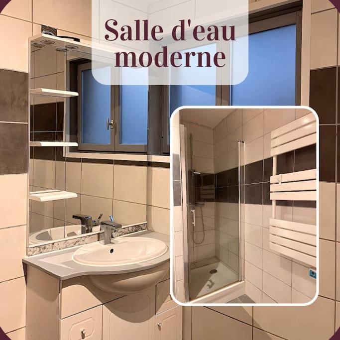 Appartement 2 Pieces Rdc En Duplex Vue Cour Parking Gratuit A 20Metres Roanne Buitenkant foto